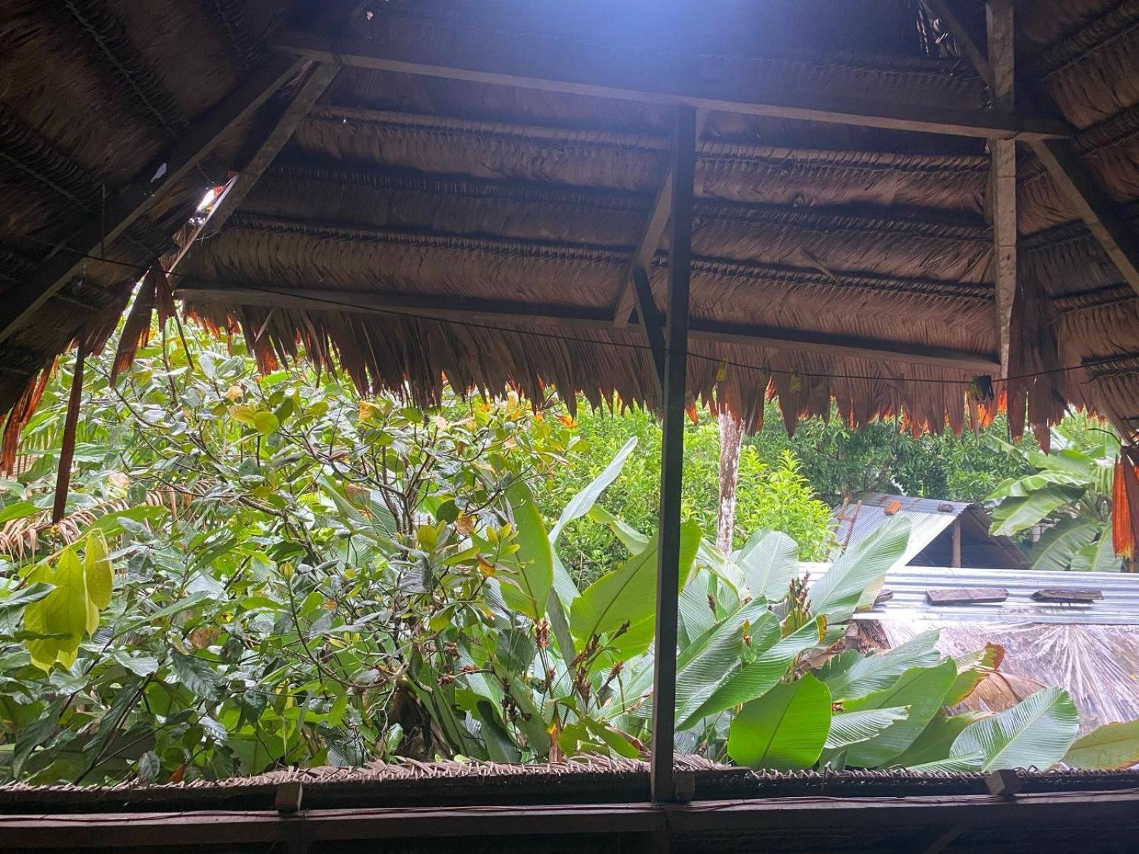 Xingu Camping Site Leticia Extérieur photo