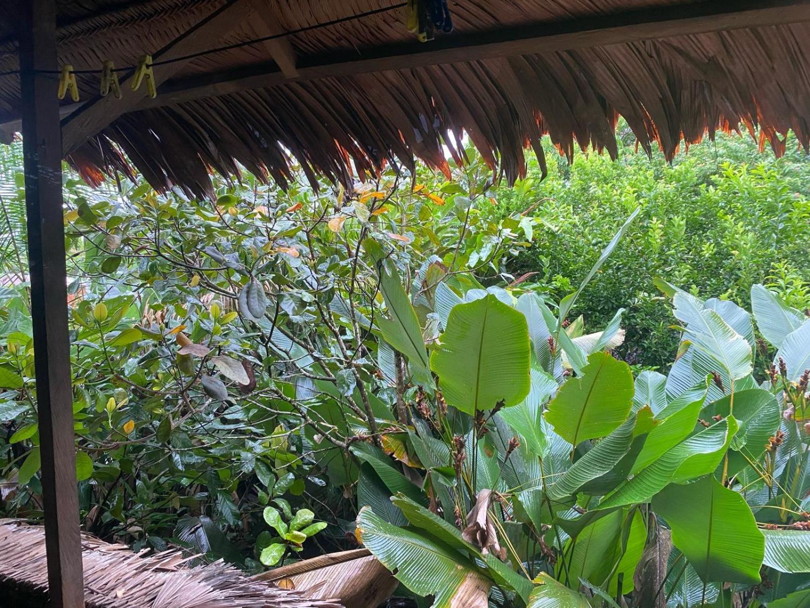 Xingu Camping Site Leticia Extérieur photo