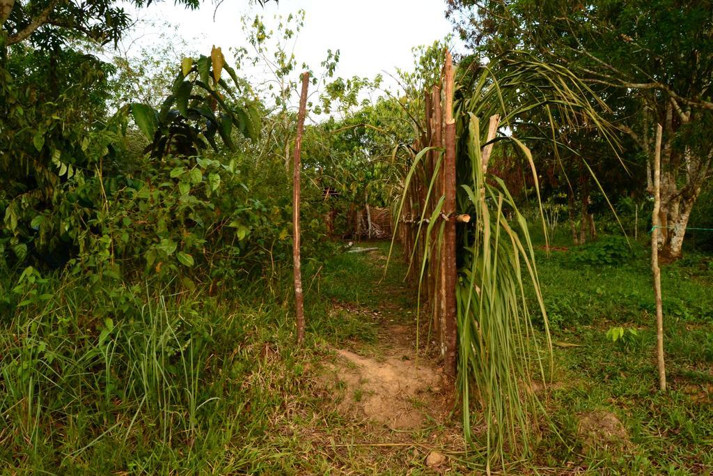 Xingu Camping Site Leticia Extérieur photo