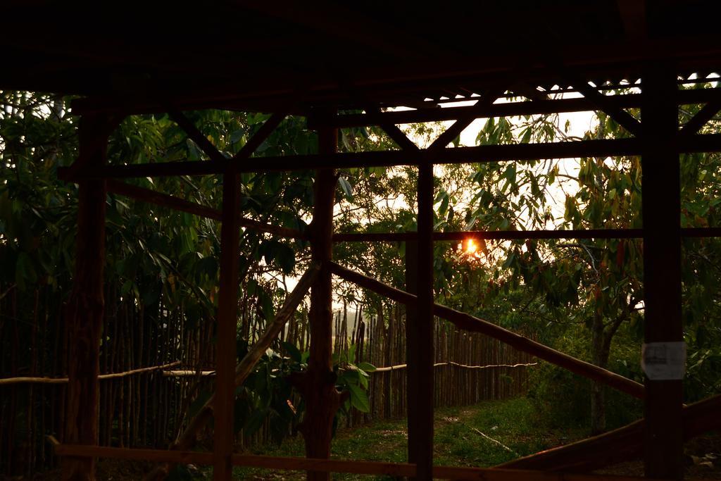 Xingu Camping Site Leticia Extérieur photo