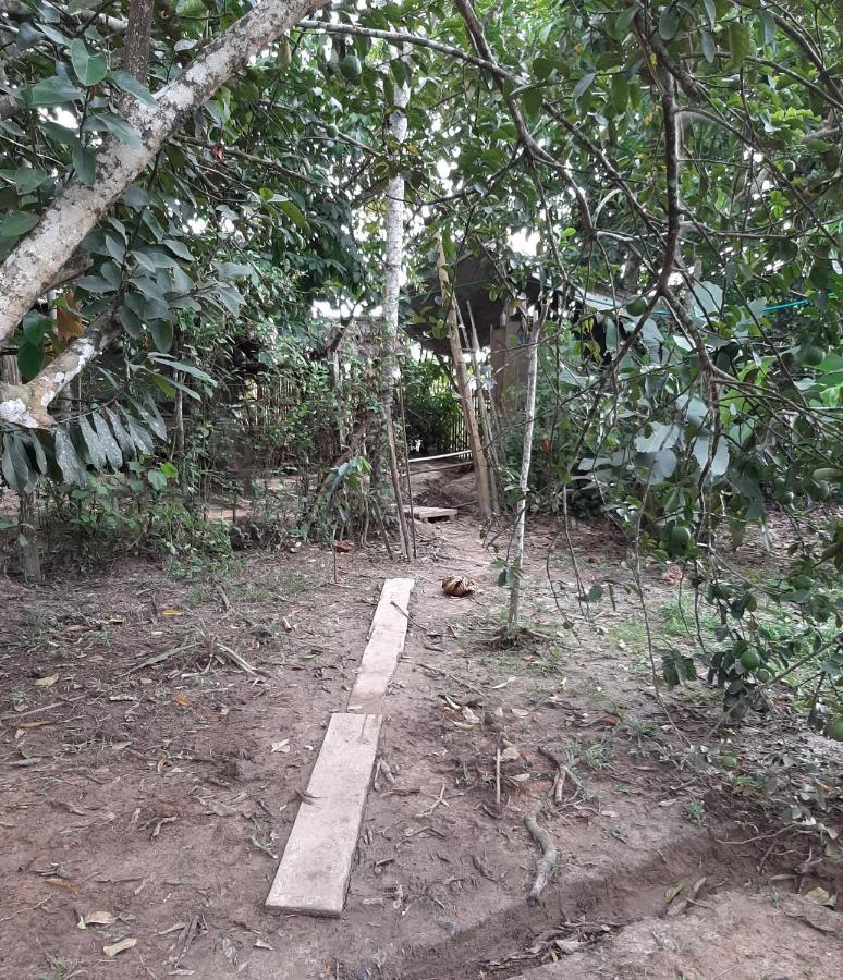 Xingu Camping Site Leticia Extérieur photo