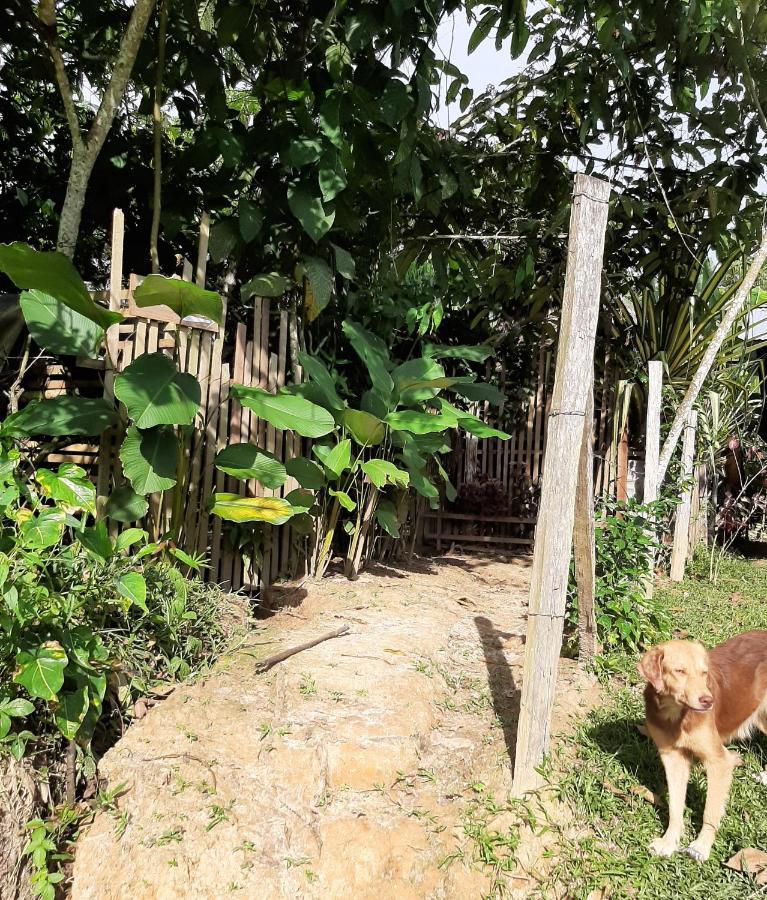Xingu Camping Site Leticia Extérieur photo