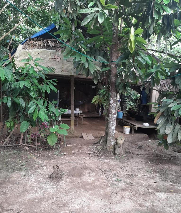 Xingu Camping Site Leticia Extérieur photo
