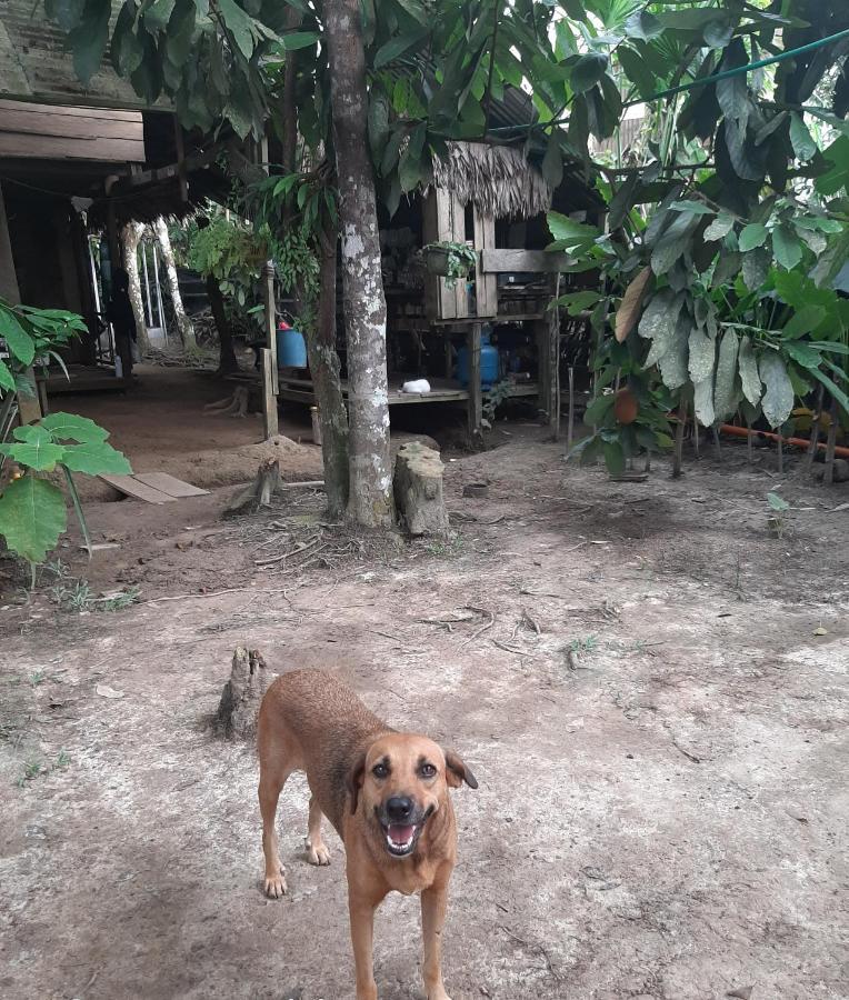 Xingu Camping Site Leticia Extérieur photo