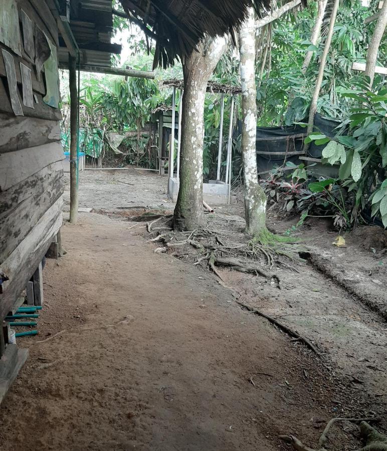 Xingu Camping Site Leticia Extérieur photo
